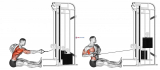 Cable one arm twisting seated row