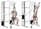 Cable twisting overhead press