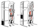 Cable vertical Pallof Press