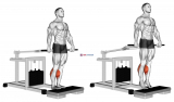 Lever Calf Raise (bench press machine)