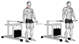 Lever Shrug (bench press machine)
