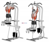 Assisted Close-grip Underhand Chin-up