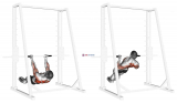 Underhand-Grip Inverted Back Row