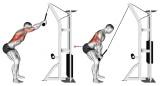 Cable Standing Lat Pushdown (rope equipment)
