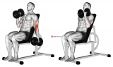 Dumbbell Incline Alternate Hammer Curl