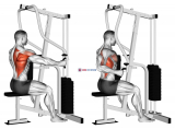 Lever One Arm Seated Row (Seated row machine)