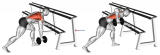 Dumbbell One Arm Row (rack support)