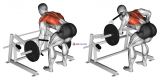 Lever Row (plate loaded)
