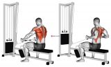 Cable Seated Row (Bent bar)