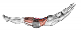 Hollow Hold