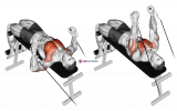 Cable Decline Press