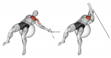 Cable One Arm Fly on Exercise Ball