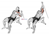 Cable One Arm Incline Press