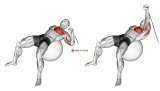 Cable One Arm Press on Exercise Ball