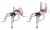 Cable Press on Exercise Ball