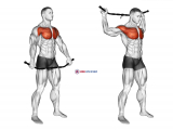 Chest and Front of Shoulder Stretch