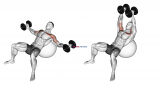 Dumbbell Incline Fly on Exercise Ball