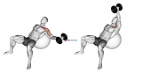 Dumbbell Incline One Arm Fly on Exercise Ball