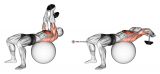 Dumbbell Lying Pullover on Exercise Ball