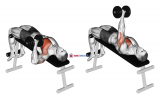 Dumbbell One Arm Decline Chest Press