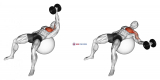 Dumbbell One Arm Fly on Exercise Ball