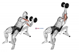 Dumbbell One Arm Incline Chest Press