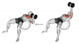 Dumbbell One Arm Press on Exercise Ball