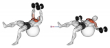 Dumbbell One Leg Fly on Exercise Ball