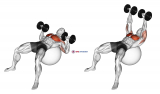 Dumbbell Press on Exercise Ball