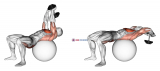 Dumbbell Pullover Hip Extension on Exercise Ball