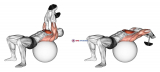 Dumbbell Pullover on Exercise Ball