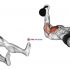 Isometric Chest Squeeze