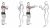 Medicine Ball Chest Pass