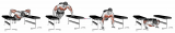 Weighted Drop Push Up