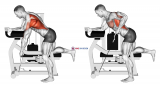Lever Unilateral Row