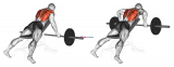 Barbell Reverse Grip Incline Bench Row