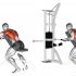 Barbell Reverse Grip Incline Bench Row