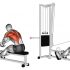 Cable Palm Rotational Row