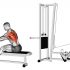 Cable Rope Crossover Seated Row