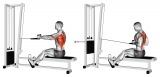 Cable Rope Seated Row