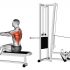 EZ Barbell Decline Close grip Face Press