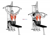 Cable Wide Grip Rear Pulldown Behind Neck