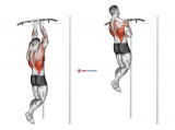 Close Grip Chin-Up