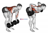 Dumbbell Palm Rotational Bent Over Row