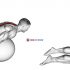 Exercise Ball Alternating Arm Ups