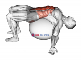 Exercise Ball Back Stretch