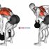 EZ Bar Reverse Grip Bent Over Row