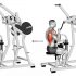 Lever Reverse Grip Vertical Row
