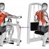 Lever Reverse T-Bar Row