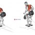 Lower Back Curl